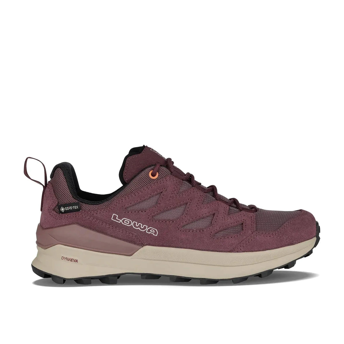 TETONIX GTX LO WS