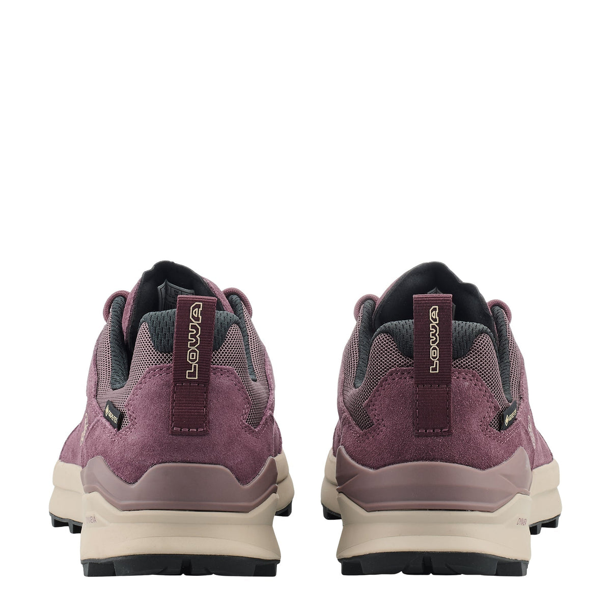 TETONIX GTX LO WS