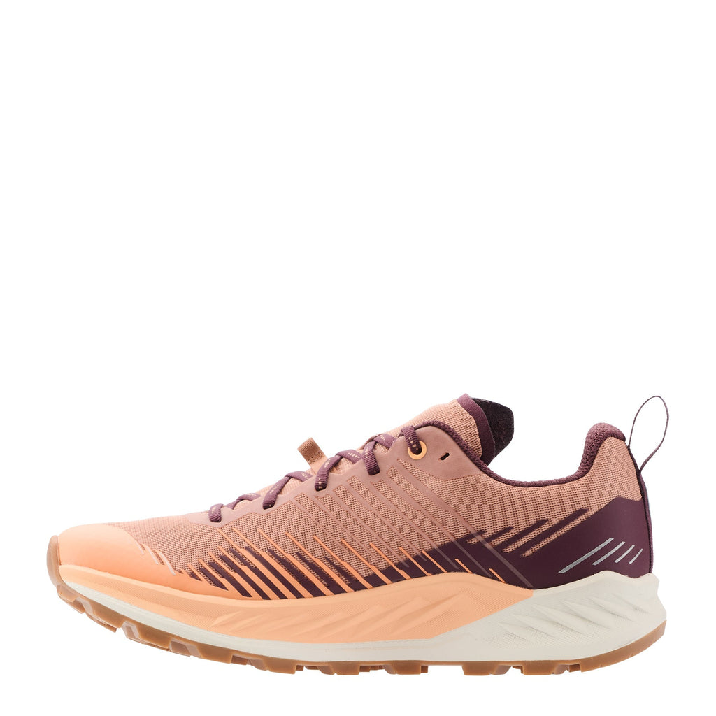 AMPLUX 2 WS